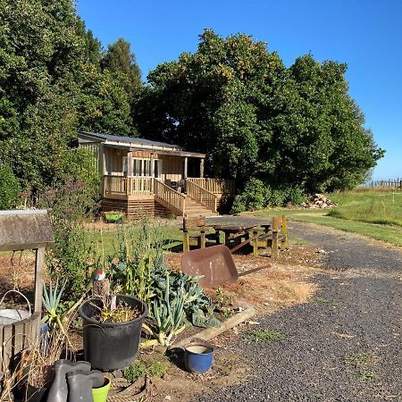 Вилла The Treehut Ohauiti Экстерьер фото